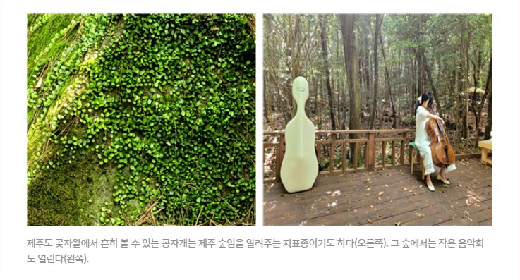 화면 캡처 2022-10-08 172114.jpg