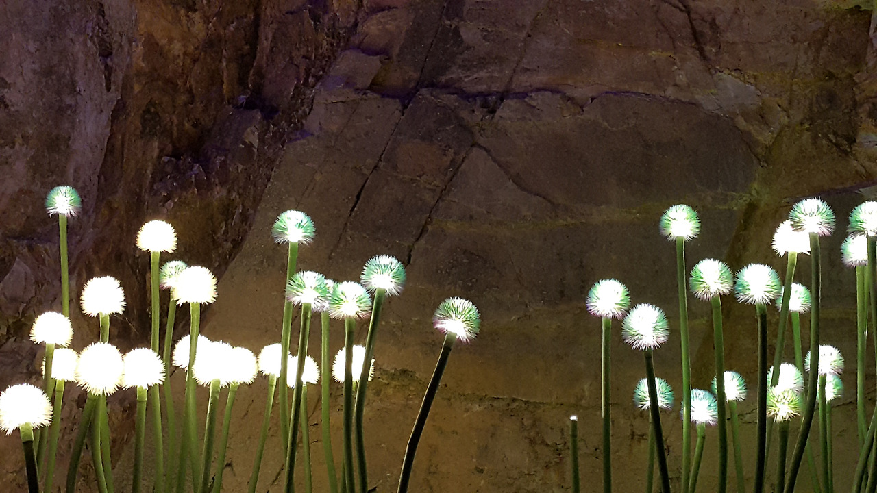 20171128_151038 - 복사본.jpg