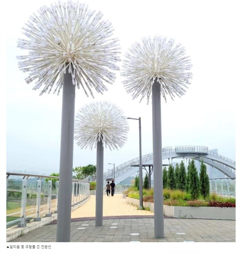 화면 캡처 2022-09-30 120344.jpg