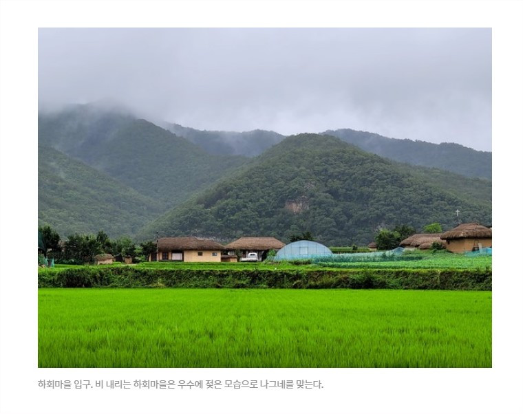 화면 캡처 2022-09-05 193509.jpg