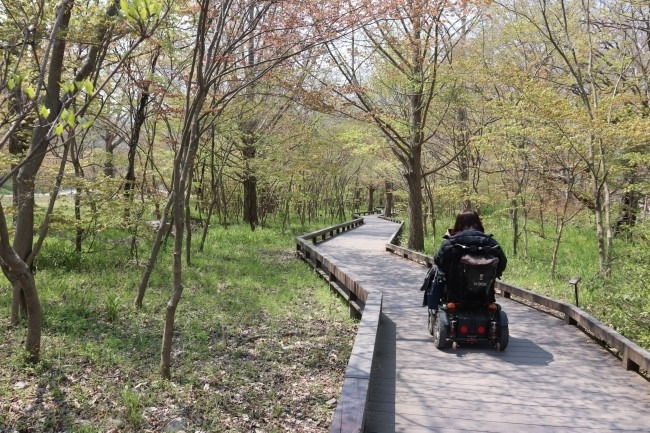 휠체어_접근성이_좋은_선운산_무장애_자연탐방로.jpg