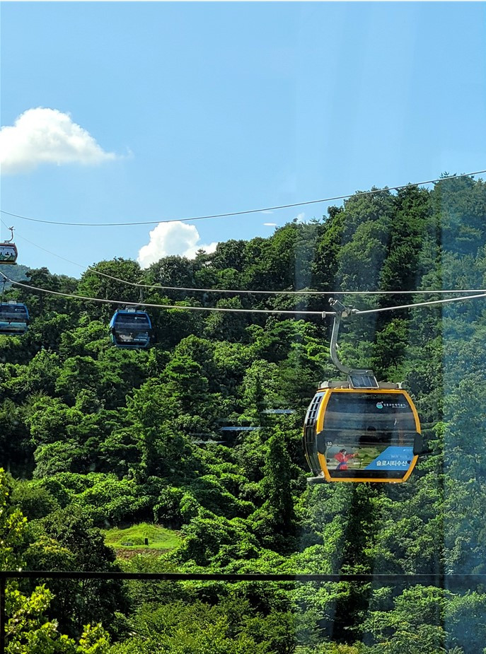 화면 캡처 2022-07-30 152520.jpg