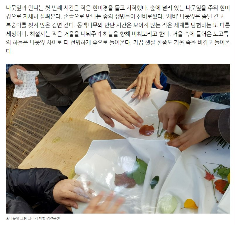 화면 캡처 2022-12-01 155425.jpg