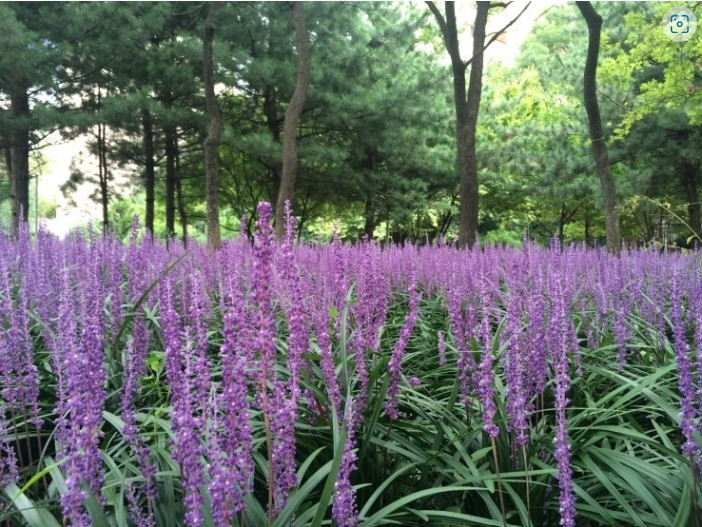 화면 캡처 2022-08-07 152508.jpg