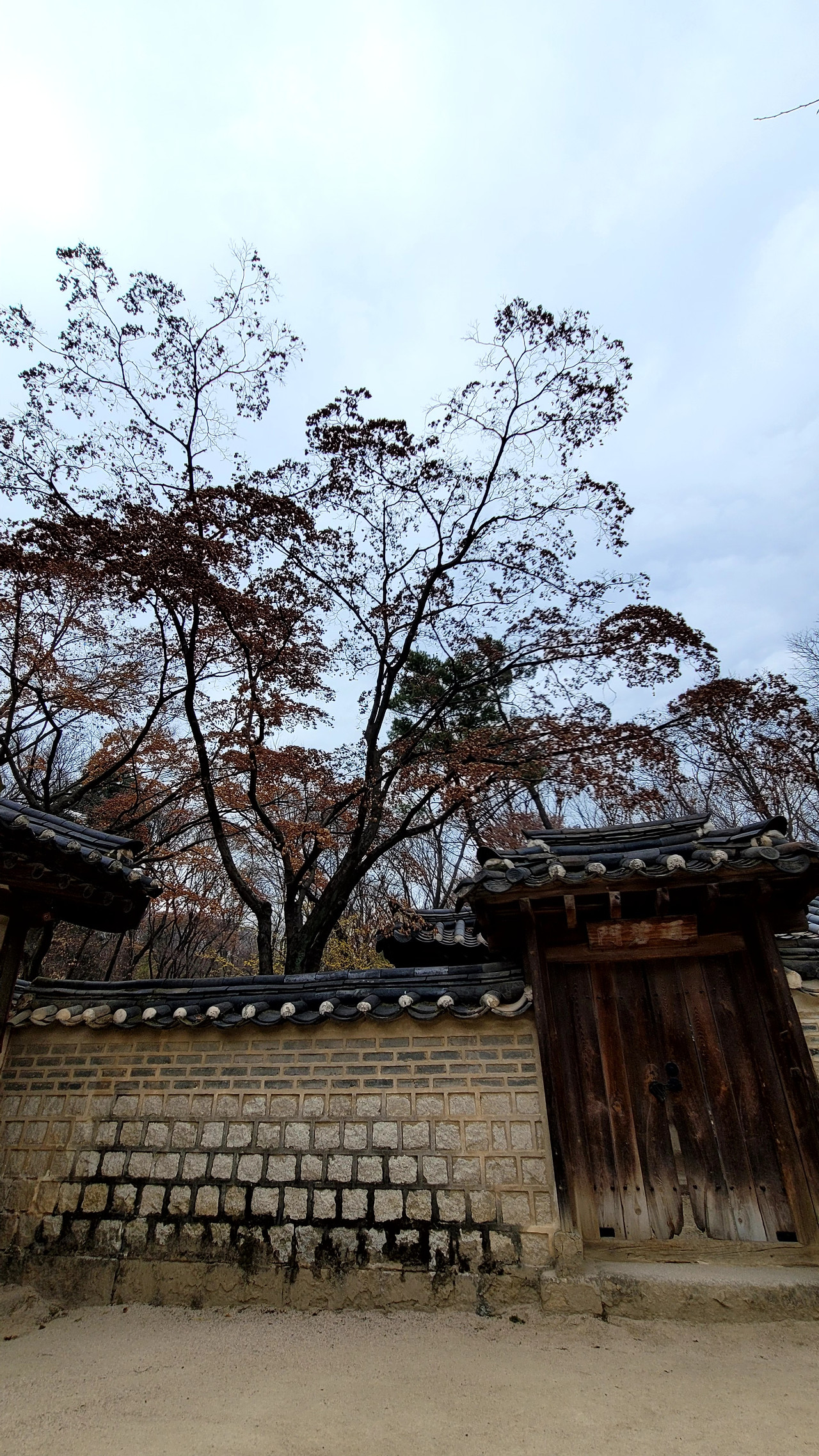 KakaoTalk_20240322_191135230_18 (1).jpg