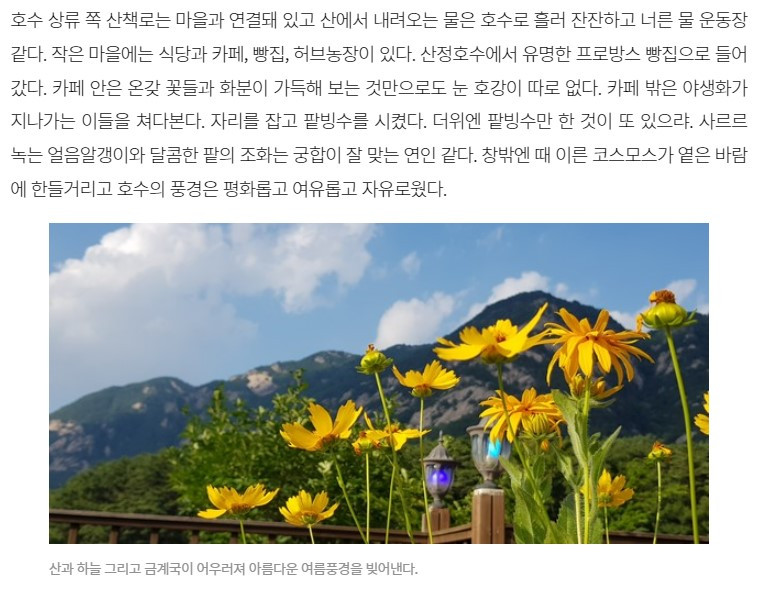 화면 캡처 2022-08-06 191515.jpg