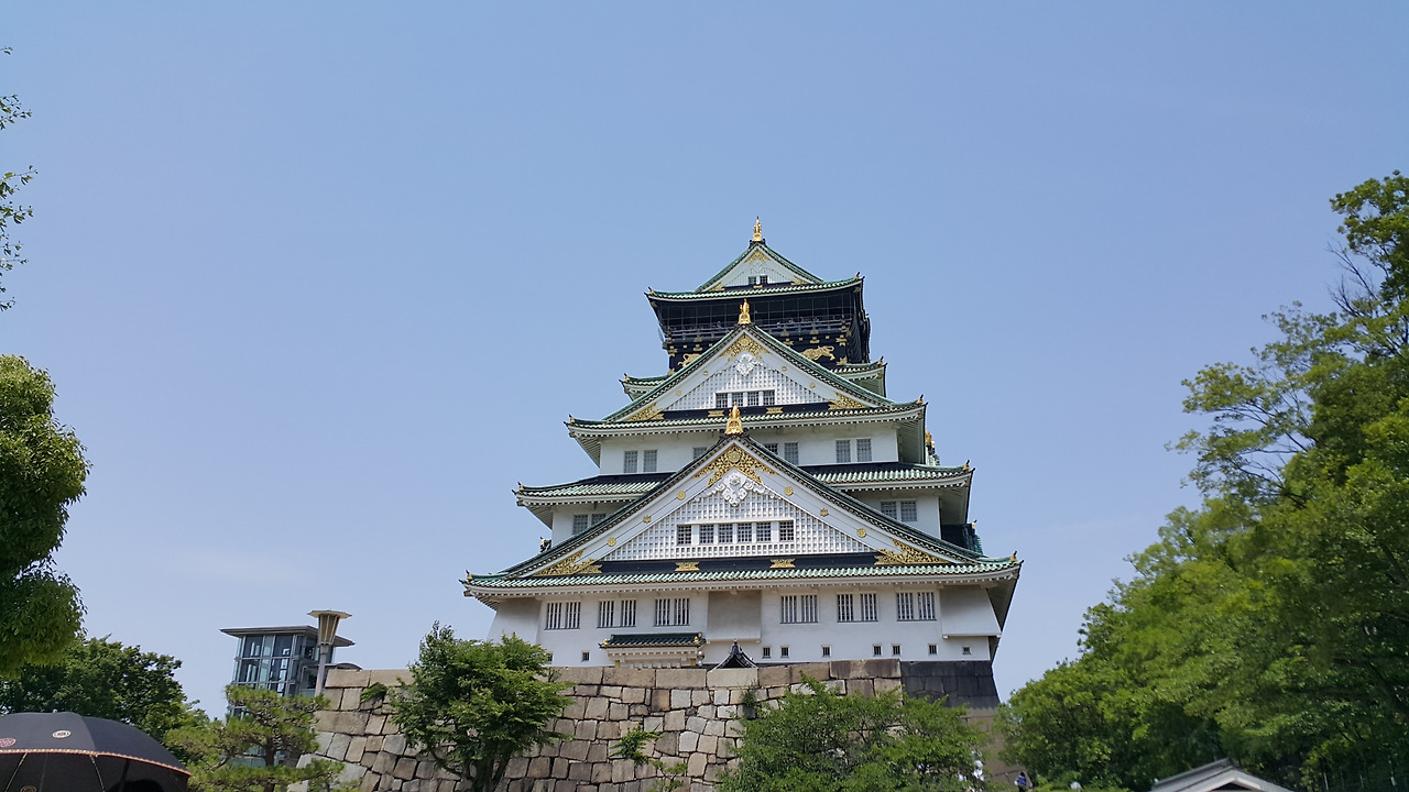 20170610_124307 - 복사본.jpg