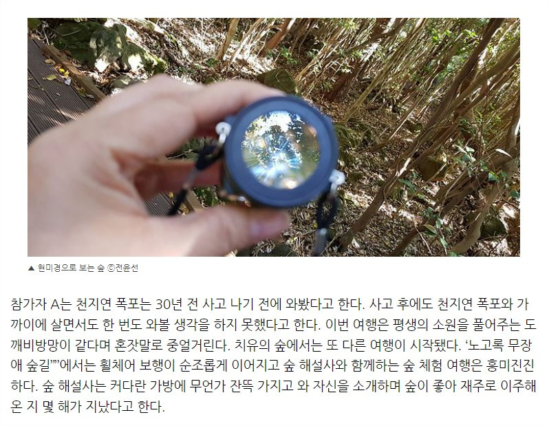 화면 캡처 2022-12-01 155028.jpg