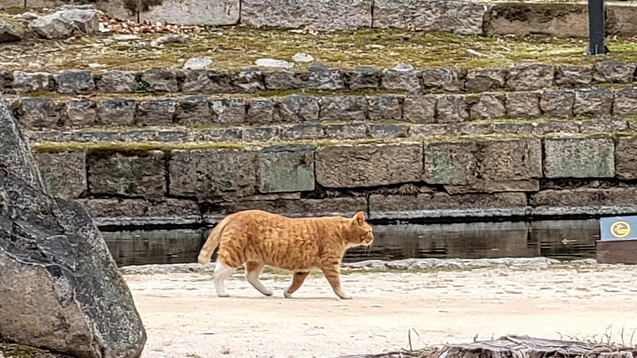 KakaoTalk_20240322_191135230 (1).jpg