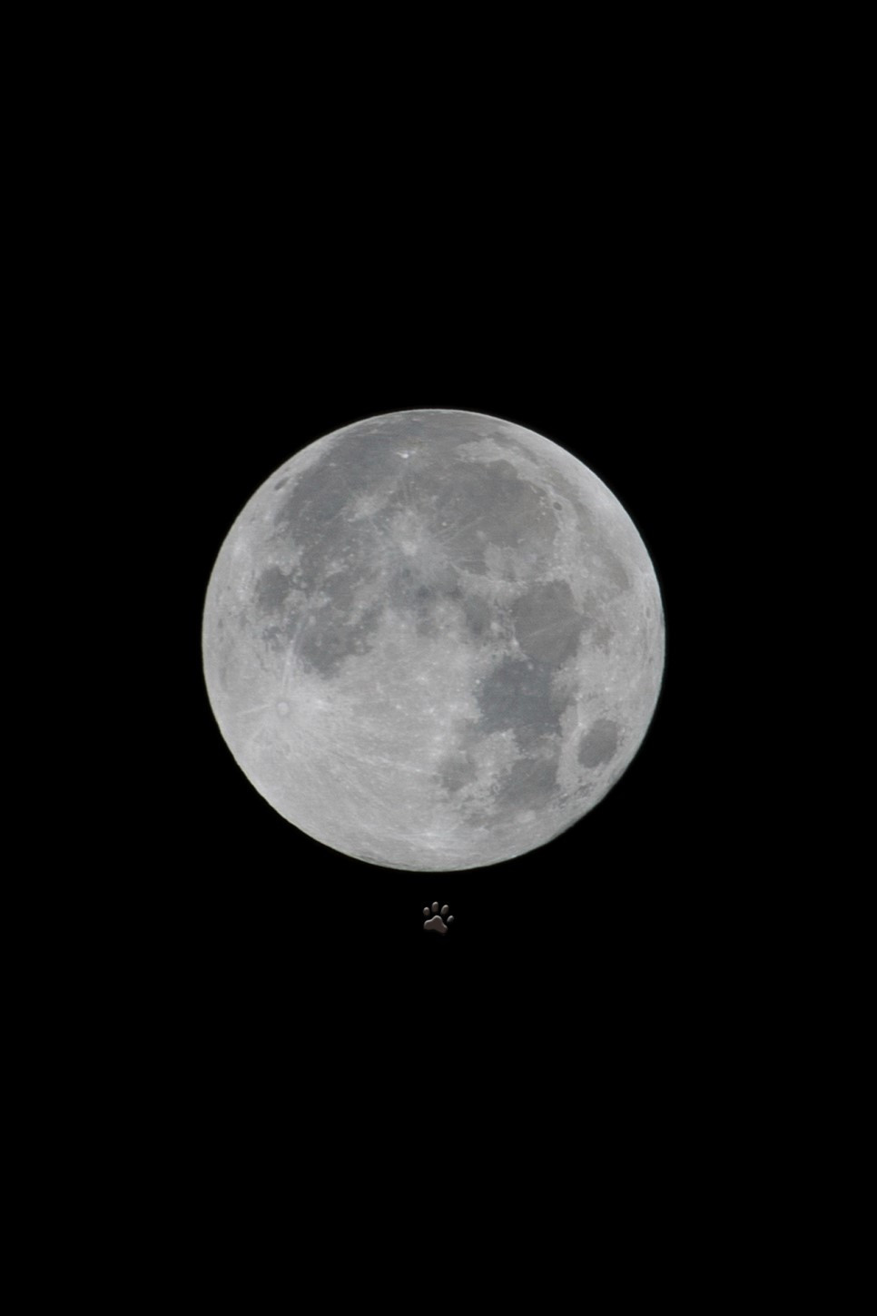 moon4 031s.jpg