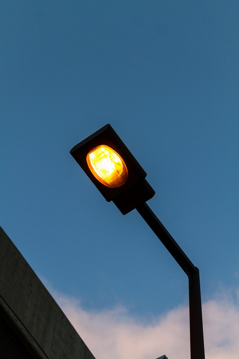 1116 nara kyo (017).jpg