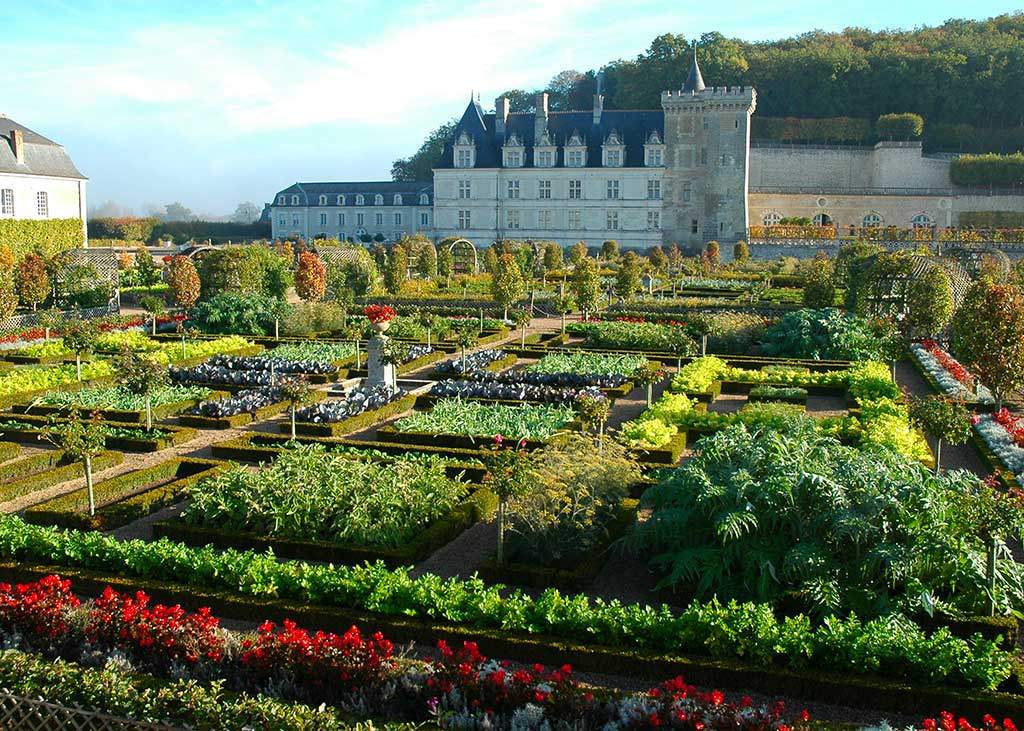 chateauvilandry-potager-2.jpg