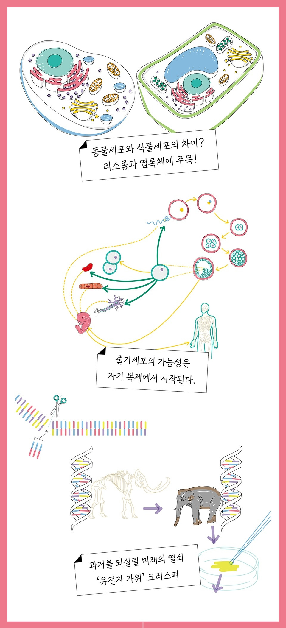 태어난 김에 생물.jpg