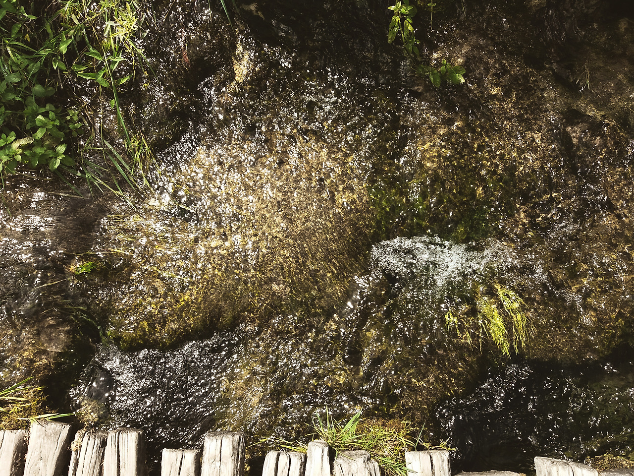 꿈을 가로지르는 너에게.jpg