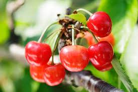 다운로드 (1).jpg