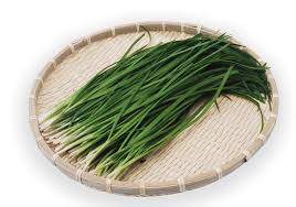 다운로드 (2).jpg