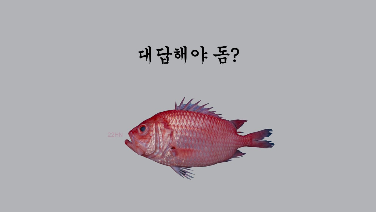 대답해야돔.jpg