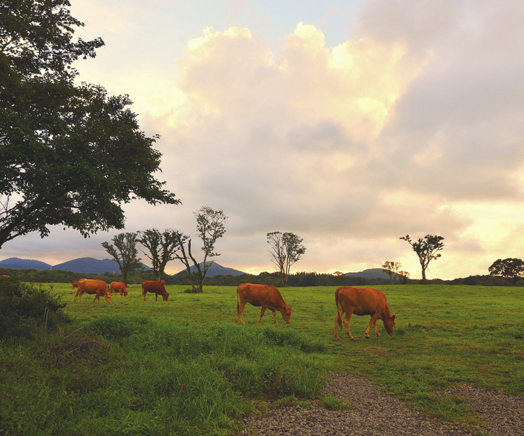 [포맷변환]J-Connect 매거진_여름호_내지_이북용 전달_-077.jpg