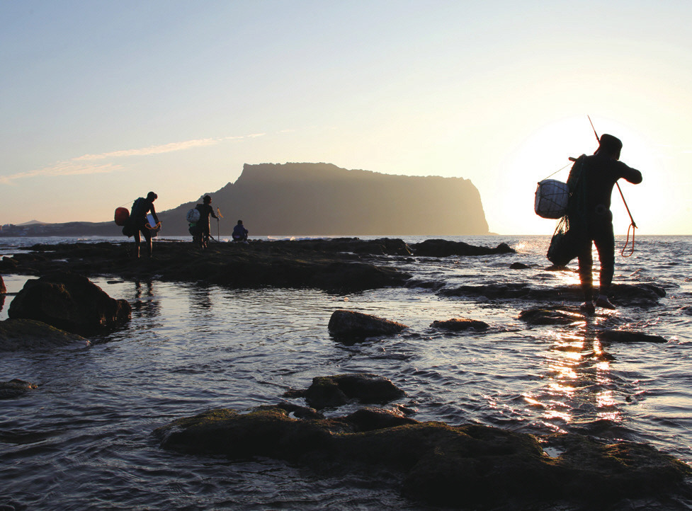제주창조경제혁신센터_제이커넥트 2022년 가을호_PDF_최종_-068.jpg