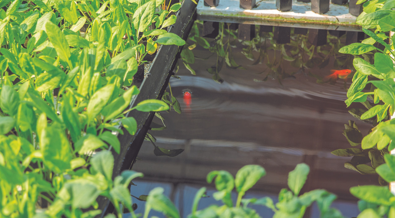 special_inside5-2차 이미지.jpg