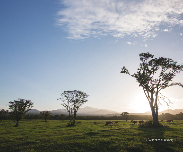 [포맷변환]J-Connect 매거진_여름호_내지_이북용 전달_-078.jpg