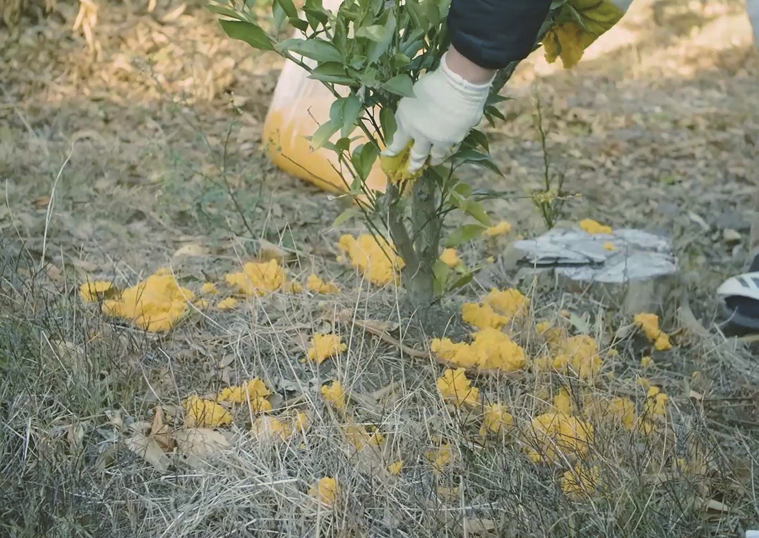 제주창조경제혁신센터_제이커넥트 2022년 가을호_PDF_최종_-028.jpg