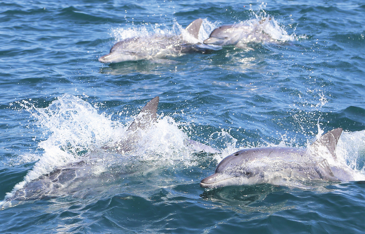 베스트 편집.jpg