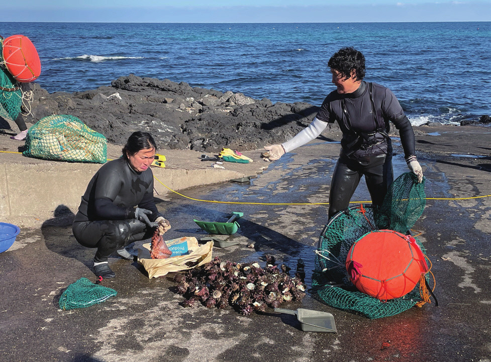제주창조경제혁신센터_제이커넥트 2022년 가을호_PDF_최종_-064.jpg