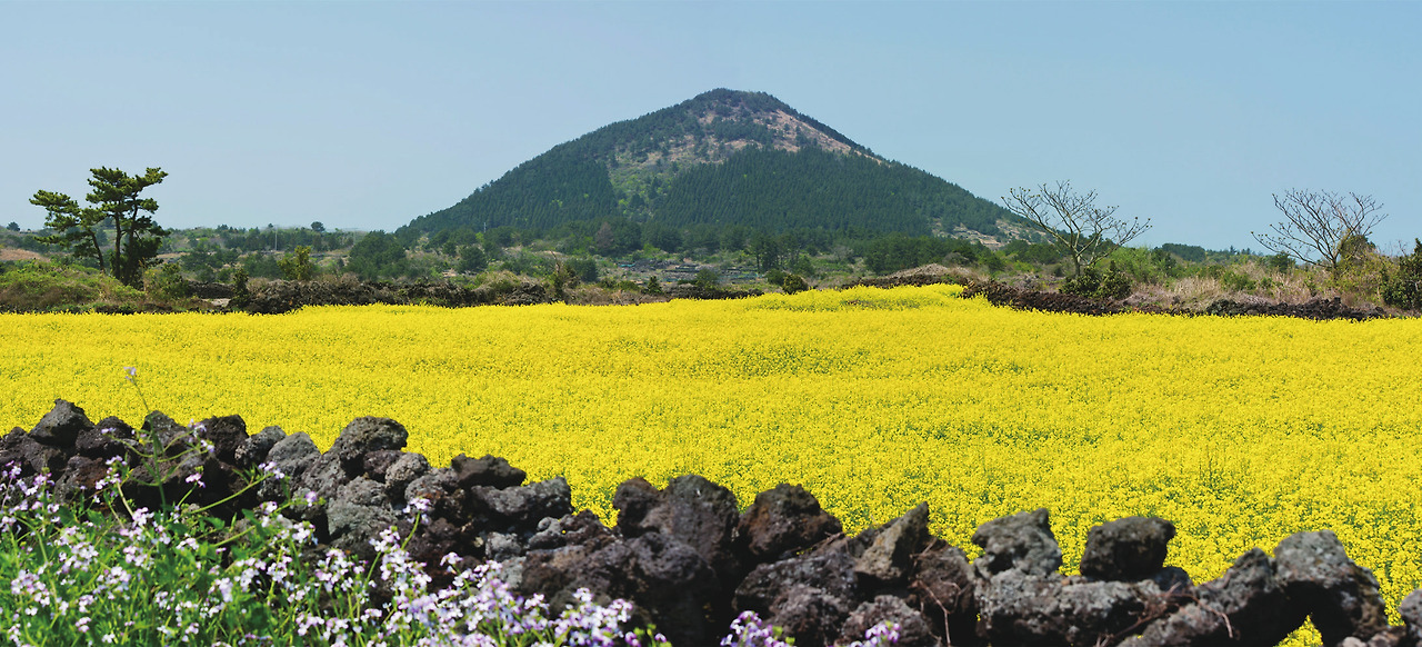 [포맷변환]J-Connect 매거진_여름호_내지_이북용 전달_-080.jpg