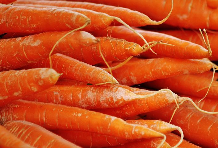 carrots-382686__480.jpg