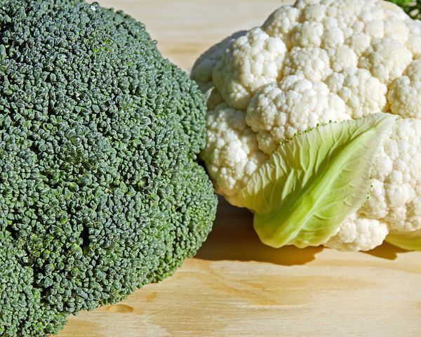 broccoli-3200719__480.jpg