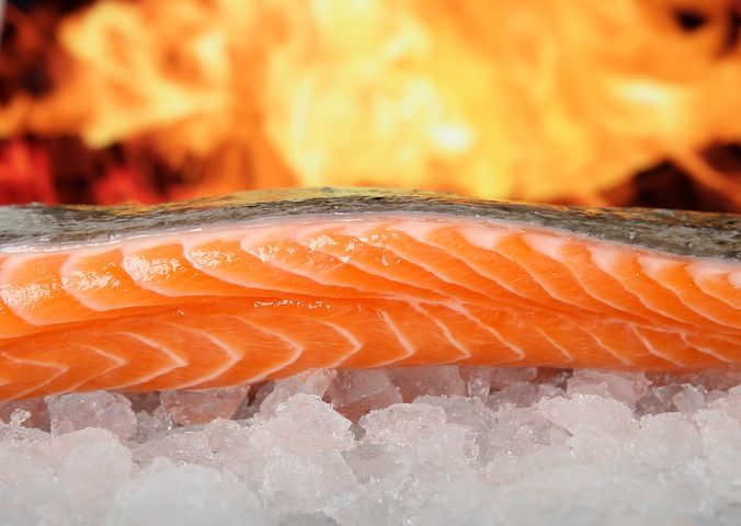 salmon-1238662__480.jpg