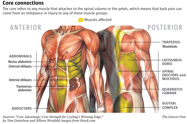 CORE-MUSCLES-IMAGES.jpg