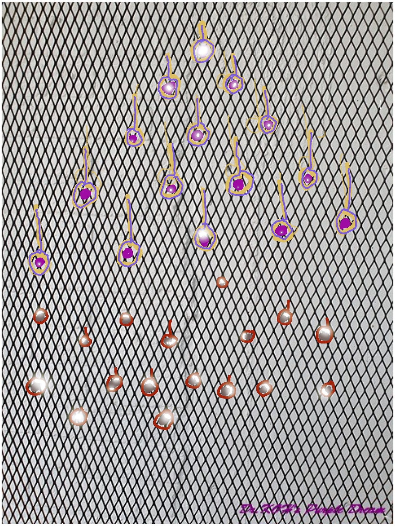 제목_없는_아트워크 (19).jpg