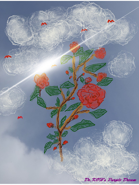 제목_없는_아트워크 (17).jpg