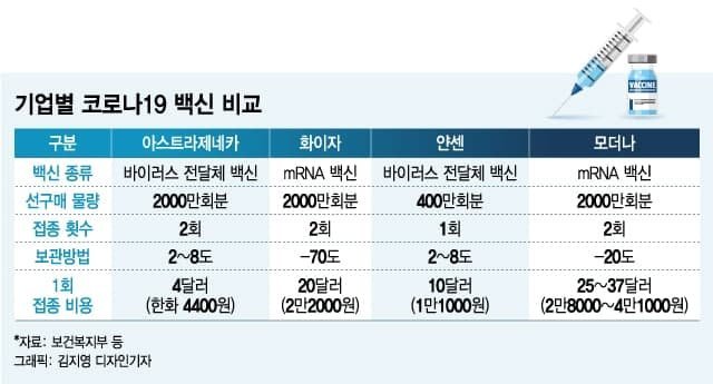 코로나백신 차이.jpg