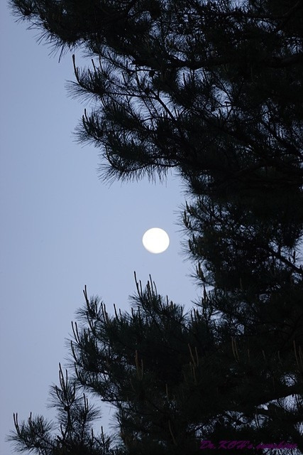 사본 -0_856Ud018svc1opjmt4e2dfir_oniqbk.jpg