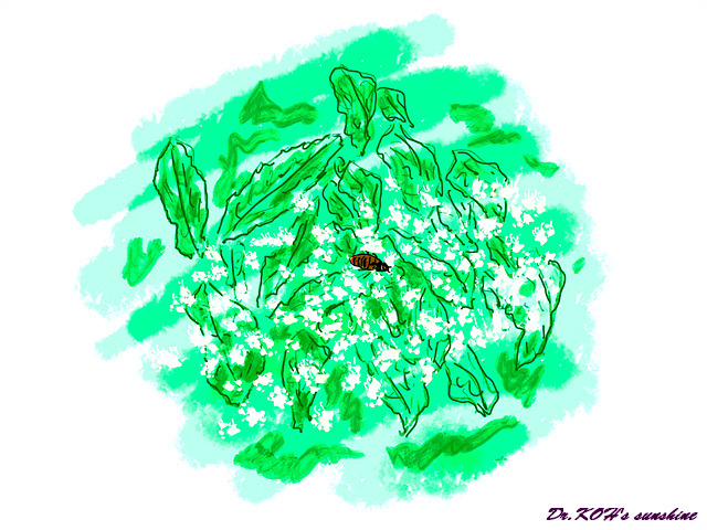 제목_없는_아트워크 - 2021-06-04T103543.949.jpg