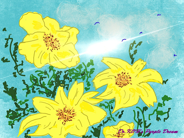 영춘화 꽃말 희망.jpg