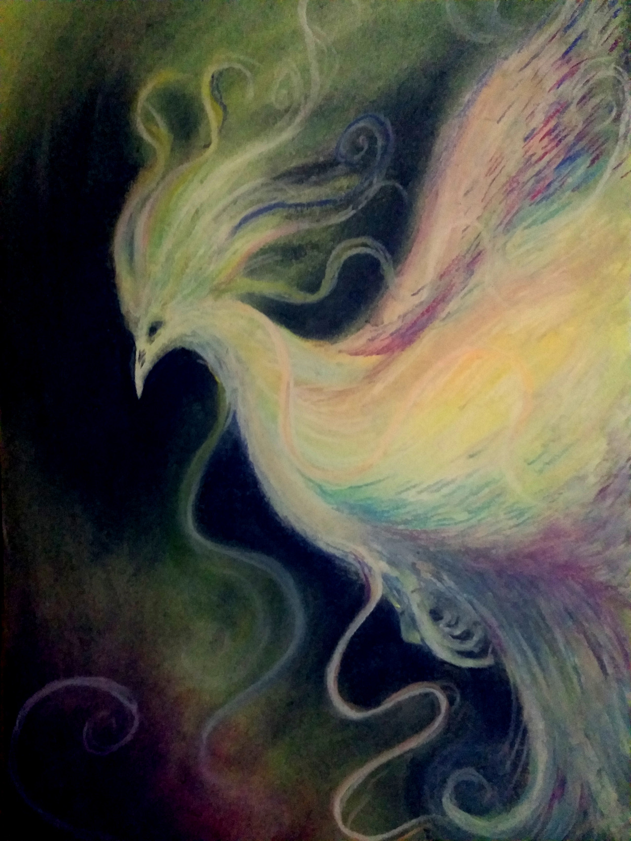 무지개날개통디 복사.jpg