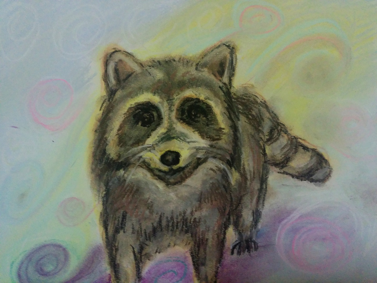 착한너구리 복사.jpg