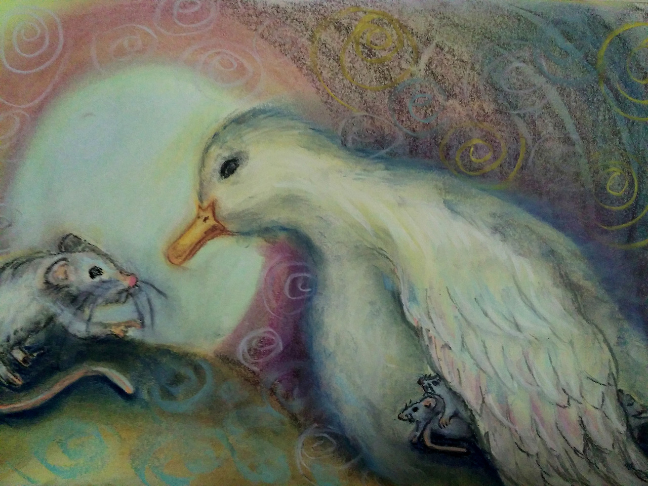 새끼쥐를품는통디 복사.jpg