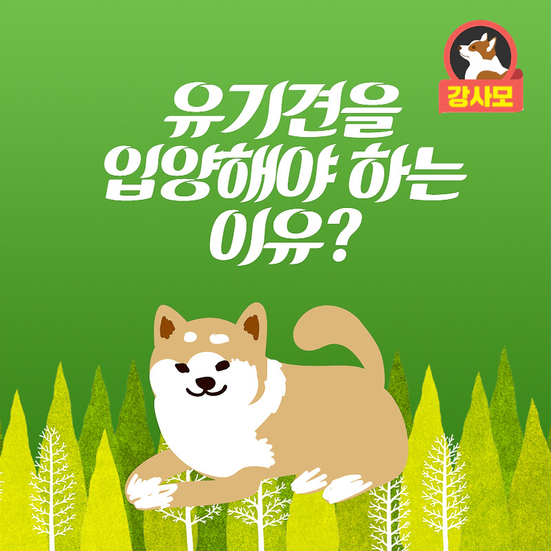 유기견 입양 (1).jpg