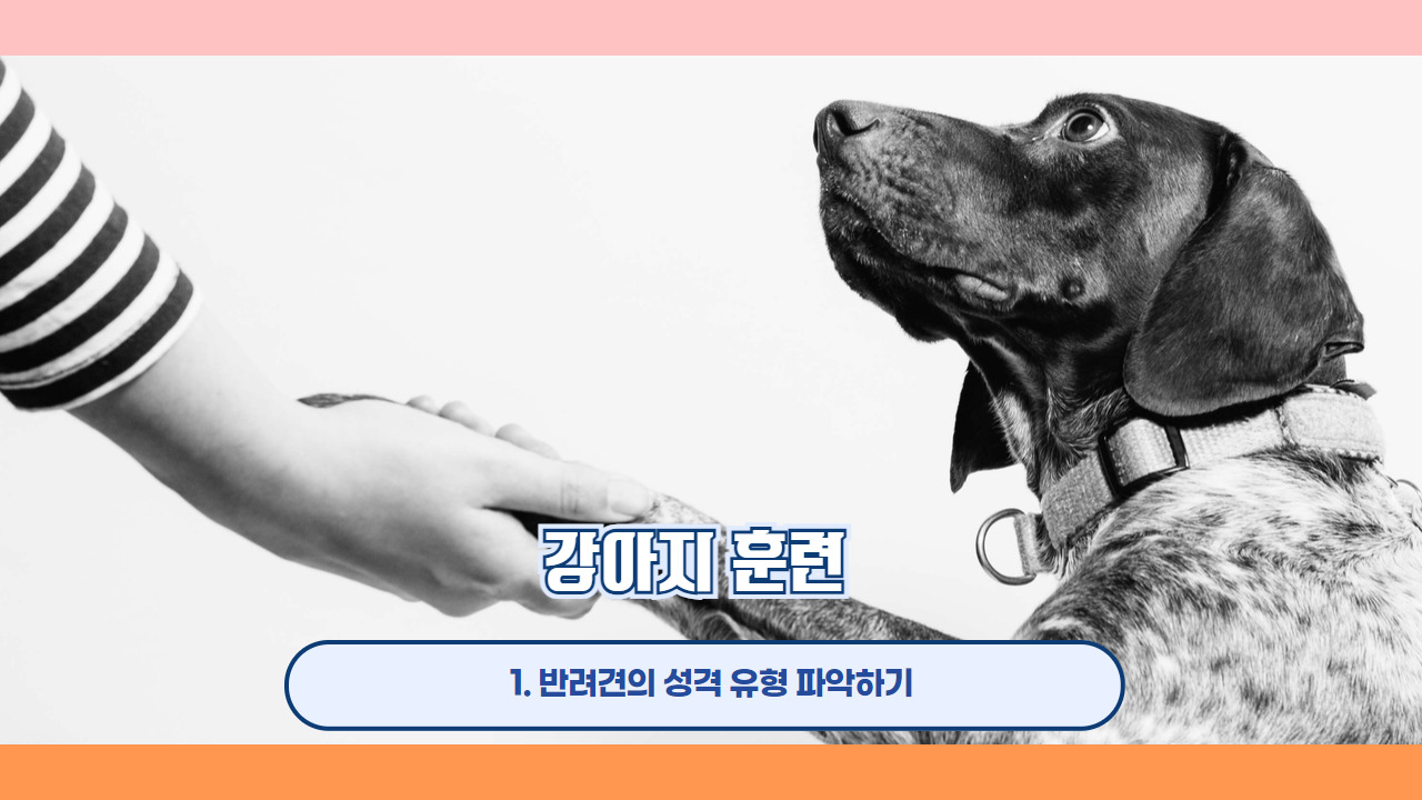 강아지훈련 2.jpg