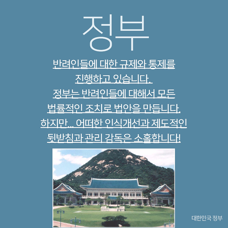 반려인인식 (6-1).jpg