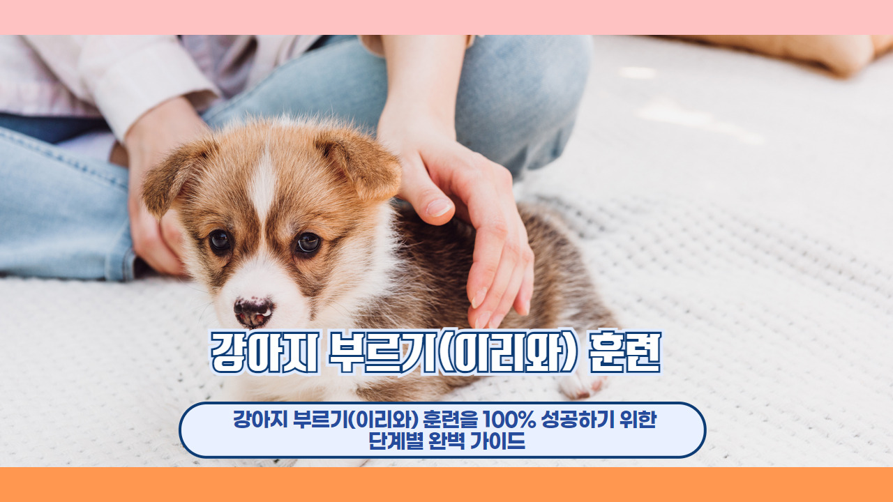 강아지 부르기 이리와 1.jpg