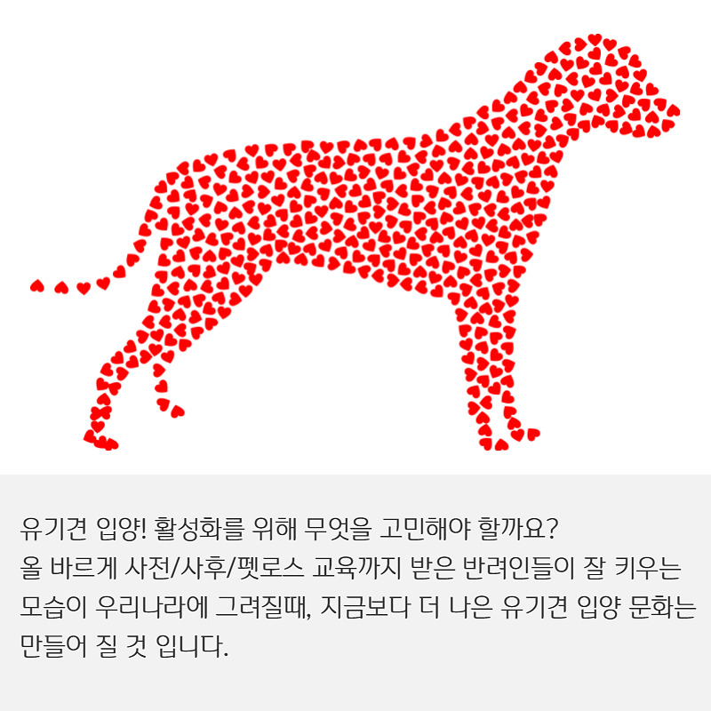 유기견입양 (9).jpg