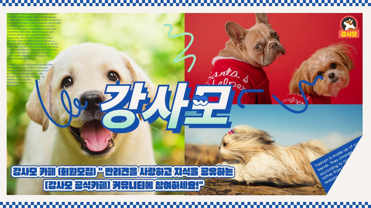 강사모카페 1.jpg