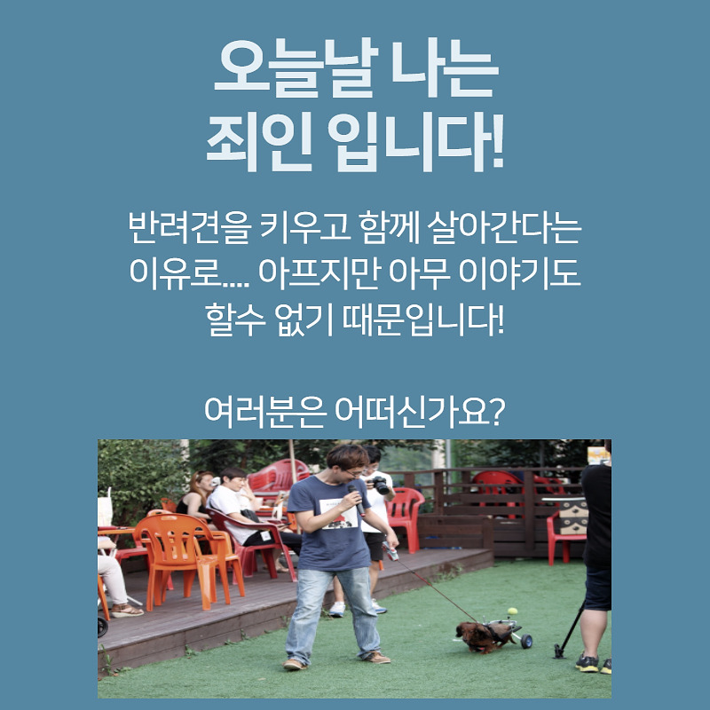 반려인인식 (7).jpg