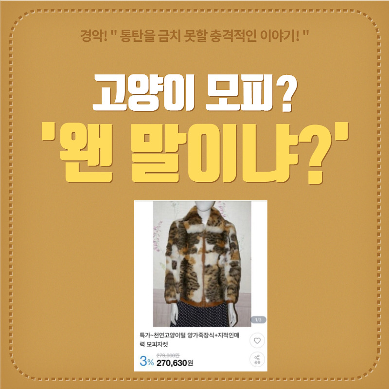 고양이 모피_001.jpg